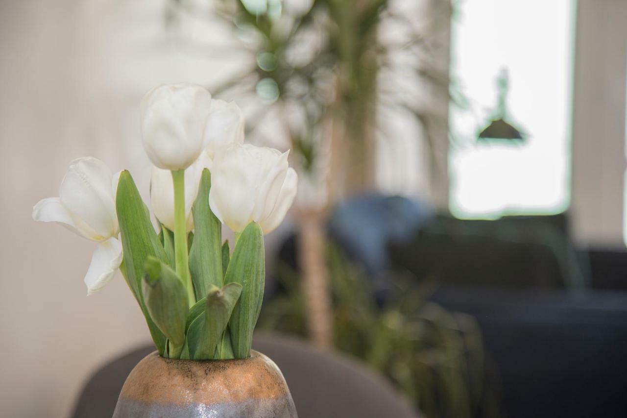 דירות Liiiving In Porto - Cozy & Chic Downtown מראה חיצוני תמונה